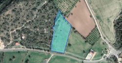 Paphos Tala Land Residential For Sale BC263