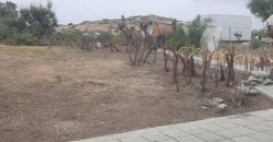 Limassol Pyrgos Residential Land For Sale BSH15171