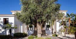 Paphos Peyia St. George 8 Bedroom Villa For Rent GRP018