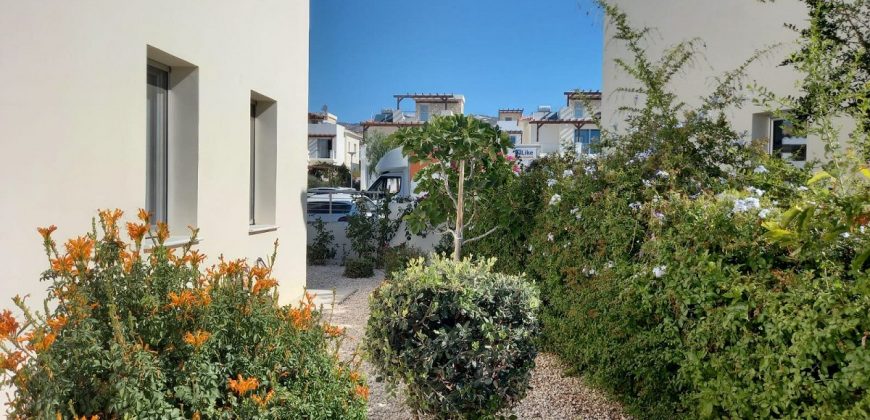Paphos Tala 3 Bedroom Villa For Rent BCP088
