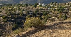 Paphos Koili Residential Land For Sale BSH13823