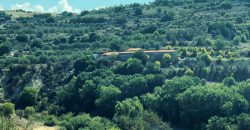 Paphos Lemona Residential Land For Sale BSH6893