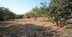 Paphos Mesogi Residential Land For Sale BSH19433