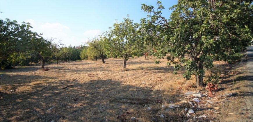 Paphos Mesogi Residential Land For Sale BSH19433