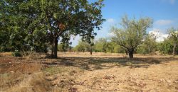 Paphos Mesogi Residential Land For Sale BSH19433