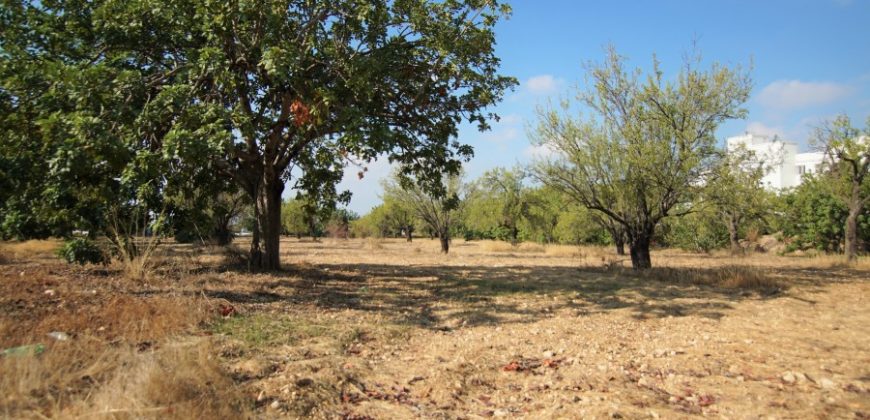 Paphos Mesogi Residential Land For Sale BSH19433