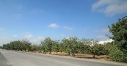 Paphos Mesogi Residential Land For Sale BSH19433