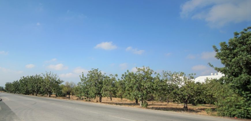 Paphos Mesogi Residential Land For Sale BSH19433