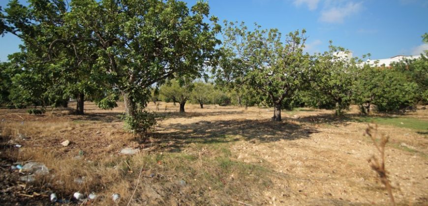 Paphos Mesogi Residential Land For Sale BSH19433