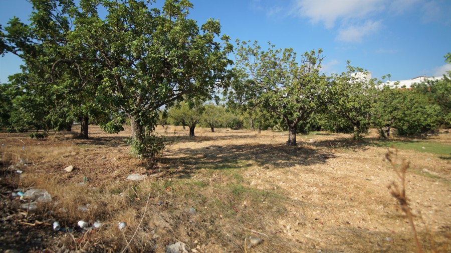 Paphos Mesogi Residential Land For Sale BSH19433