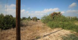 Paphos Tala Residential Land For Sale BSH19434