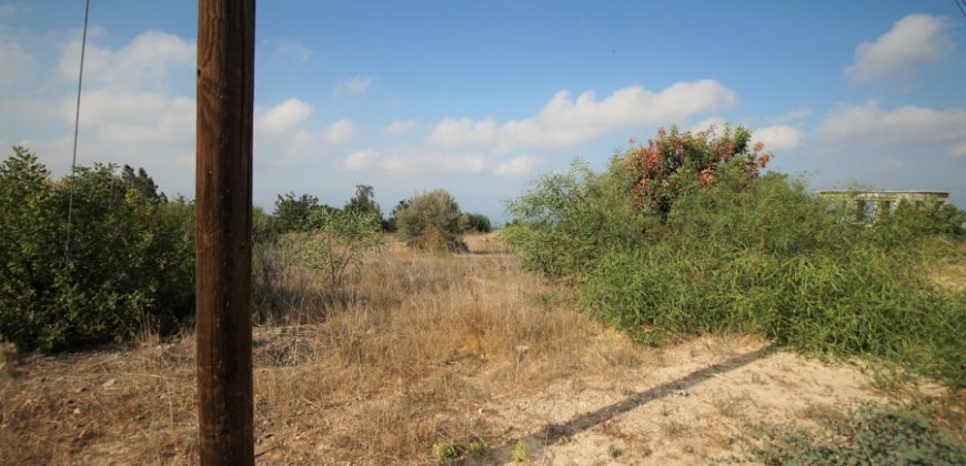 Paphos Tala Residential Land For Sale BSH19434