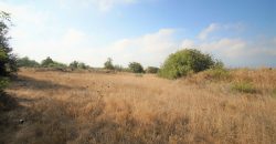 Paphos Tala Residential Land For Sale BSH19434