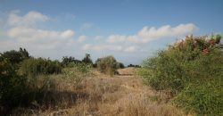 Paphos Tala Residential Land For Sale BSH19434