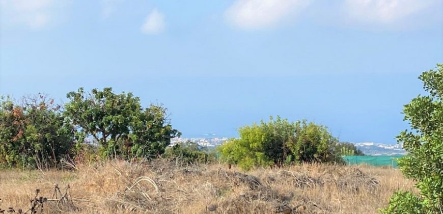 Paphos Tala Residential Land For Sale BSH19434