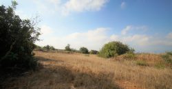 Paphos Tala Residential Land For Sale BSH19434