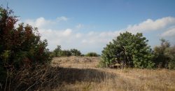 Paphos Tala Residential Land For Sale BSH19434