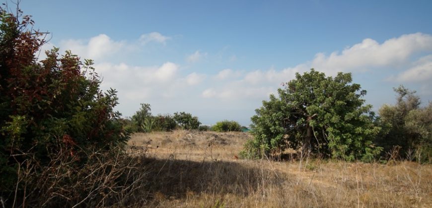 Paphos Tala Residential Land For Sale BSH19434