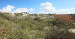 Paphos Tsada Residential Land For Sale BSH19963