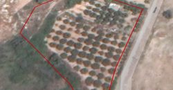 Limassol Agia Fyla Residential Land For Sale BSH20287