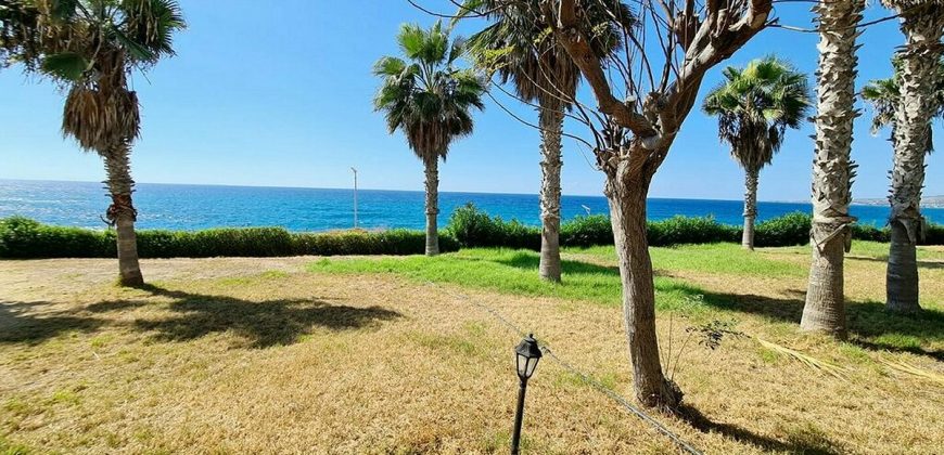 Paphos Chloraka 4 Bedroom House For Sale ZRP24347