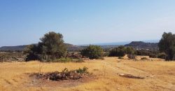Limassol Prastio Avdimou Land Agricultural For Sale BC404