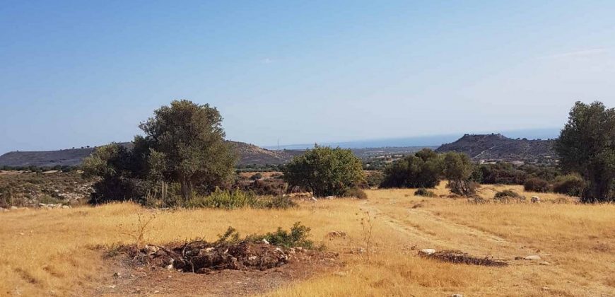 Limassol Prastio Avdimou Land Agricultural For Sale BC404