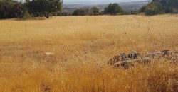 Limassol Prastio Avdimou Land Agricultural For Sale BC404