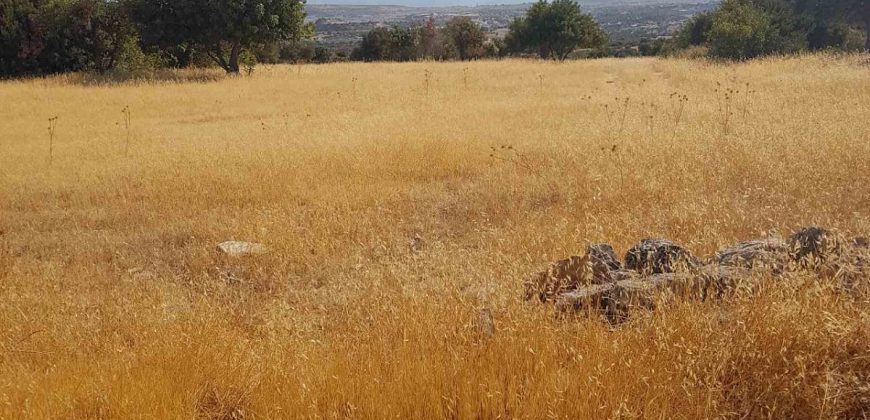 Limassol Prastio Avdimou Land Agricultural For Sale BC404