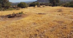 Limassol Prastio Avdimou Land Agricultural For Sale BC404