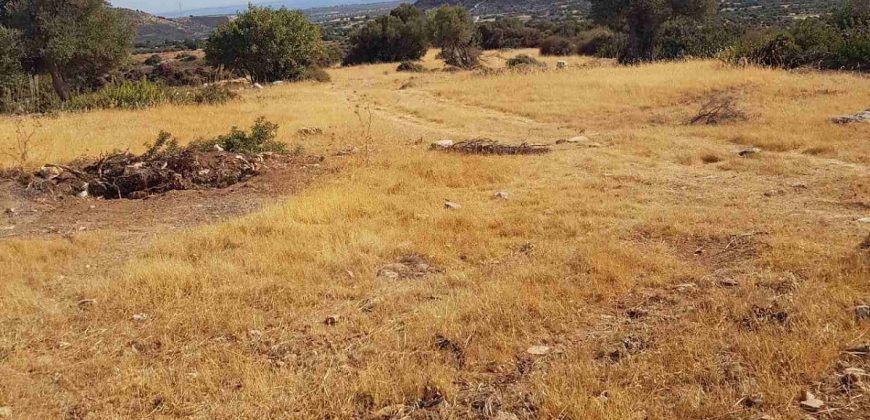 Limassol Prastio Avdimou Land Agricultural For Sale BC404