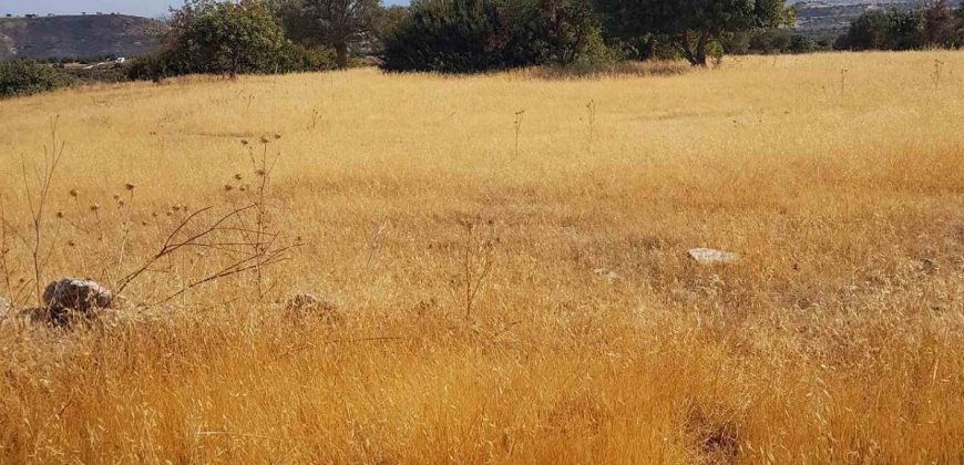 Limassol Prastio Avdimou Land Agricultural For Sale BC404