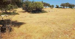 Limassol Prastio Avdimou Land Agricultural For Sale BC404