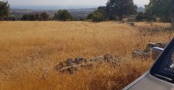 Limassol Prastio Avdimou Land Agricultural For Sale BC404