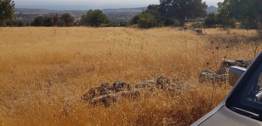 Limassol Prastio Avdimou Land Agricultural For Sale BC404