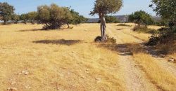 Limassol Prastio Avdimou Land Agricultural For Sale BC404