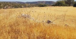 Limassol Prastio Avdimou Land Agricultural For Sale BC404