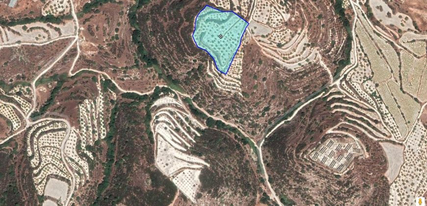 Paphos Kallepia Land Agricultural For Sale BC409