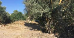 Paphos Polemi Land Residential For Sale BC403