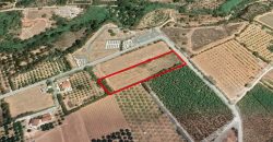 Paphos Kissonerga Agricultural Land For Sale PCP9845