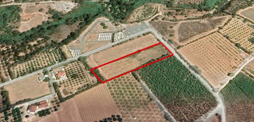 Paphos Kissonerga Agricultural Land For Sale PCP9845