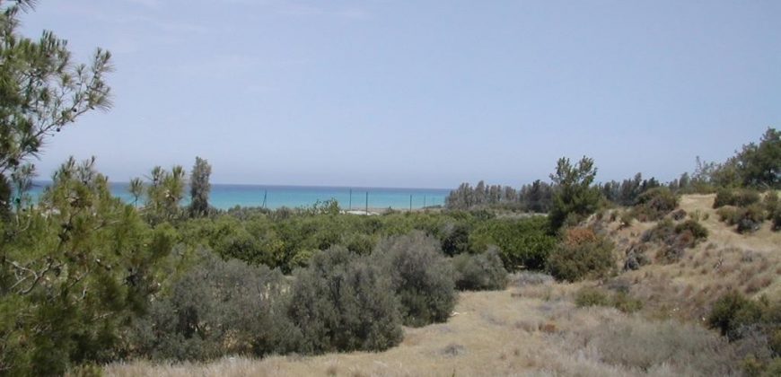 Paphos Gialia Residential Land For Sale PCP9921