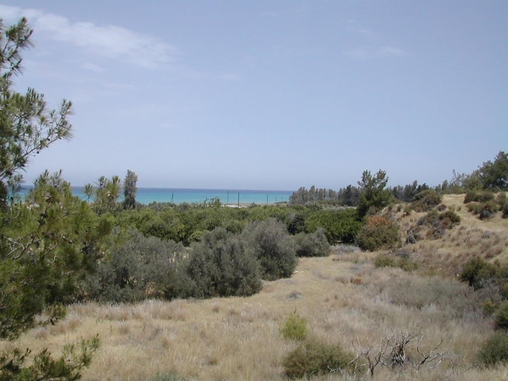 Paphos Gialia Residential Land For Sale PCP9921
