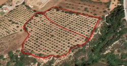 Paphos Tala Residential Land For Sale BSH27204