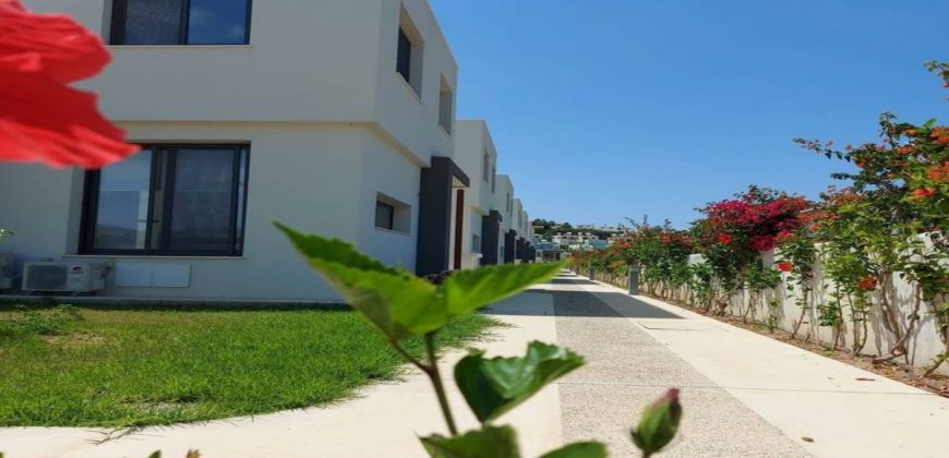 Paphos Chloraka 3 Bedroom Villa For Sale DMCCS002