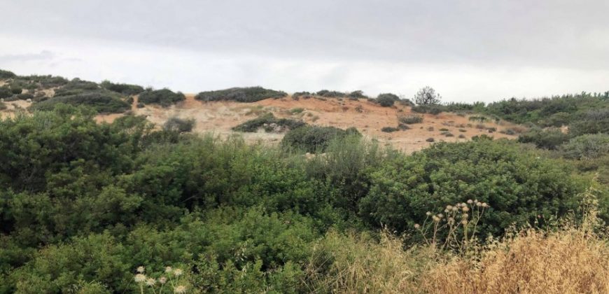 Paphos Pegia Sea Caves Residential Land For Sale BSH8666
