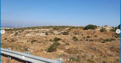 Paphos Agia Varvara Land Industrial For Sale AMR10676