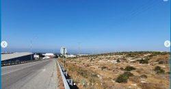 Paphos Agia Varvara Land Industrial For Sale AMR10676