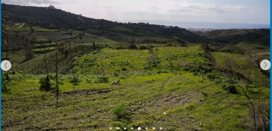 Paphos Armou Land Residential For Sale AMR11787