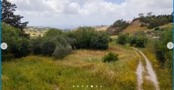 Paphos Armou Land Residential For Sale AMR33756